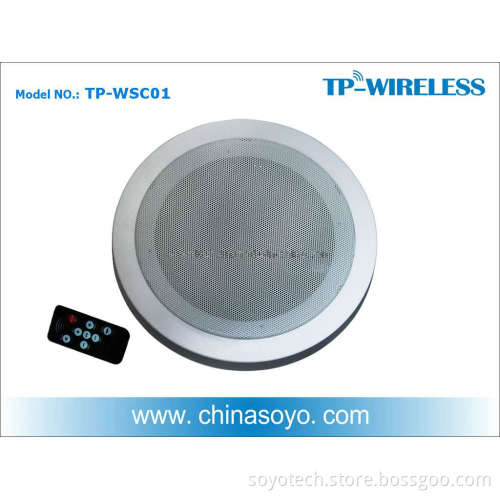 2.4G Digital Wireless Speaker (TP-WSC01)